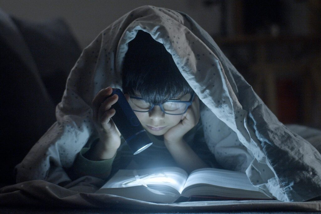 Child reading under a blanket

Photo by Kampus Production: https://www.pexels.com/photo/kid-lying-on-a-bed-while-reading-a-book-7414098/